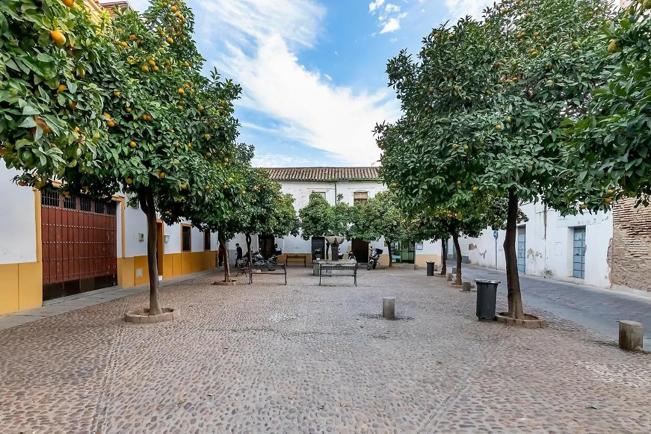 Apartamento Bhost - Regina Ll Córdoba